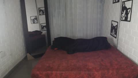 kattia online show from 02-01-25, 12:40