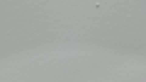 Snapshot of katy_and_paola chatting on 12-24-24, 05:02 katy blonde girl and paola big boobs online show from 12-24-24, 05:02