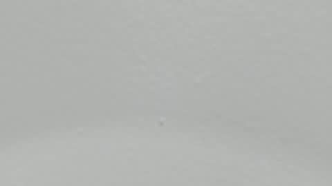 Snapshot of katy_and_paola chatting on 01-09-25, 02:01 katy blonde girl and paola big boobs online show from 01-09-25, 02:01