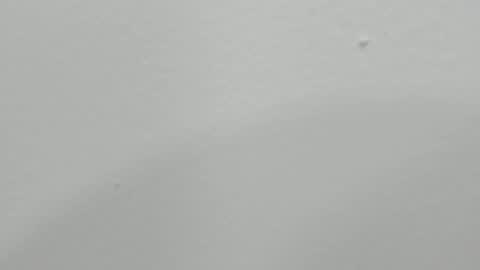 Snapshot of katy_and_paola chatting on 01-17-25, 01:47 katy blonde girl and paola big boobs online show from 01-17-25, 01:47