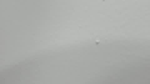 Snapshot of katy_and_paola chatting on 02-12-25, 01:52 katy blonde girl and paola big boobs online show from 02-12-25, 01:52