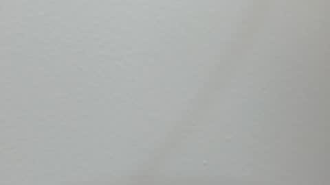 Snapshot of katy_and_paola chatting on 02-13-25, 07:21 katy blonde girl and paola big boobs online show from 02-13-25, 07:21