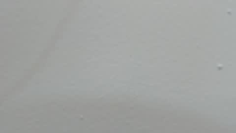 Snapshot of katy_and_paola chatting on 02-14-25, 07:44 katy blonde girl and paola big boobs online show from 02-14-25, 07:44