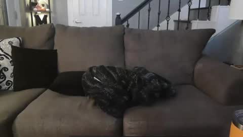 katycouple2003 online show from 10-05-25, 05:17