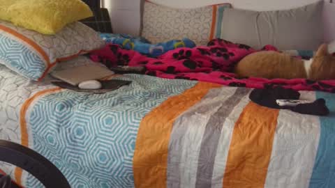  Khawit  online show from 09-14-25, 12:15