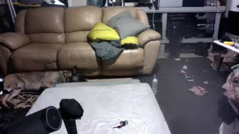 Dexter online show from 07-14-26, 09:25