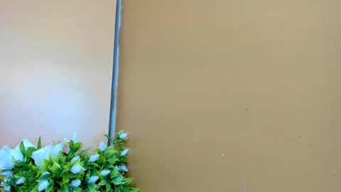 keisy_sanchez online show from 01-17-26, 11:04