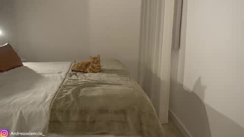 Snapshot of kendall_ruiiz chatting on 03-10-25, 08:23 Andrea online show from 03-10-25, 08:23