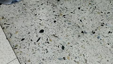 Kendra London online show from 04-10-26, 11:59