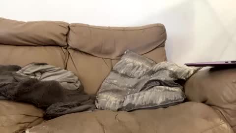 Snapshot of kevfromchat chatting on 01-08-25, 01:31 kevfromchat online show from 01-08-25, 01:31