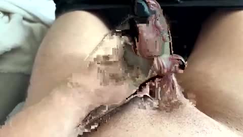 K636284 online show from 03-23-26, 12:20