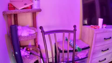 KevKev online show from 04-13-26, 11:16