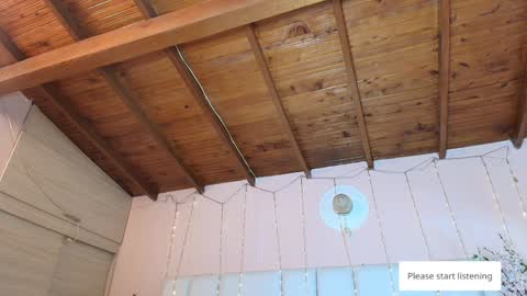    N         M online show from 01-27-25, 11:32