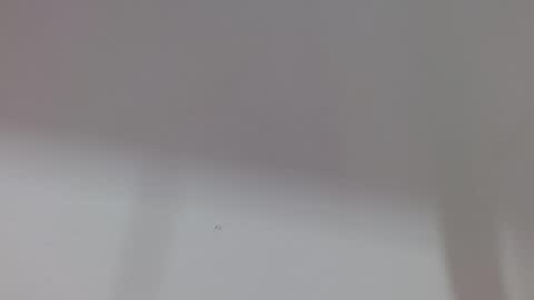 Snapshot of kiitty_horny_ chatting on 10-11-25, 12:04 Melody online show from 10-11-25, 12:04