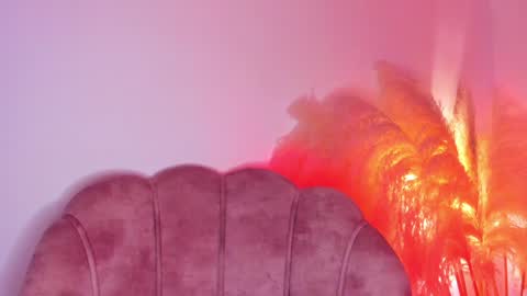 Kim Murphy online show from 02-02-25, 12:24