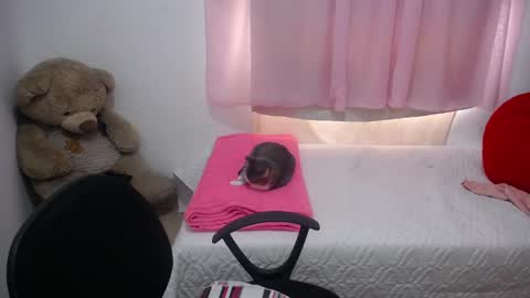 Snapshot of kimberly_slim chatting on 02-20-25, 04:36 Kim online show from 02-20-25, 04:36