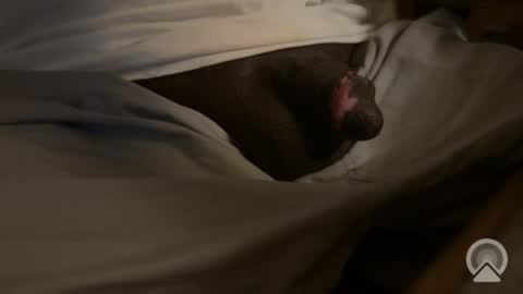 AsYouLikeCock online show from 04-09-26, 06:35