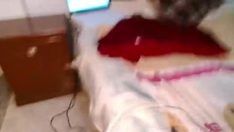 Conejo online show from 03-10-25, 12:18