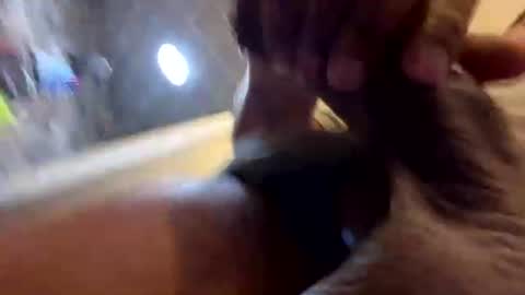 Snapshot of kingshyster chatting on 07-20-26, 03:14 kingshyster online show from 07-20-26, 03:14