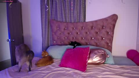 Snapshot of kinkydoll_ chatting on 12-11-24, 10:16 Sara online show from 12-11-24, 10:16