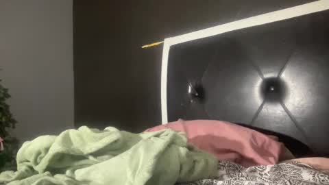 Snapshot of kinkykittee chatting on 02-01-25, 03:08 Bunniii online show from 02-01-25, 03:08