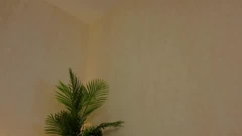 kirabesser online show from 02-27-26, 10:15