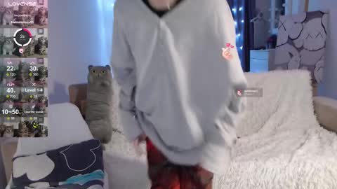 Kisi online show from 12-05-24, 11:29