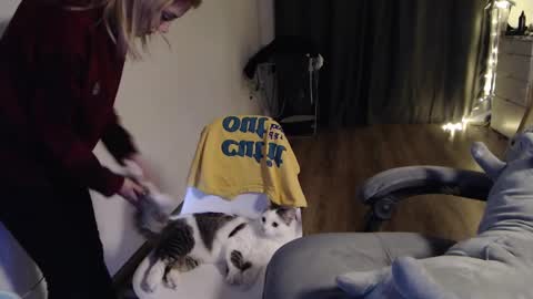 Kisi online show from 01-30-25, 06:43