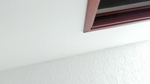 Snapshot of kissmesara chatting on 02-27-26, 12:16 Sara online show from 02-27-26, 12:16