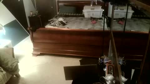 KittenKatch online show from 02-08-26, 05:11