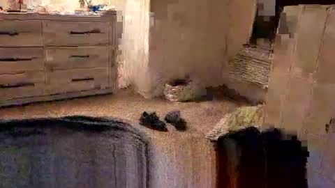 Snapshot of kittykat175154 chatting on 02-27-26, 10:04 kittykat175154 online show from 02-27-26, 10:04