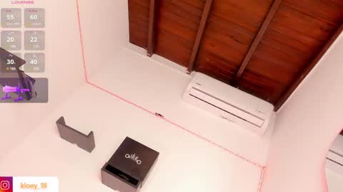 Kloey  online show from 12-31-24, 01:47