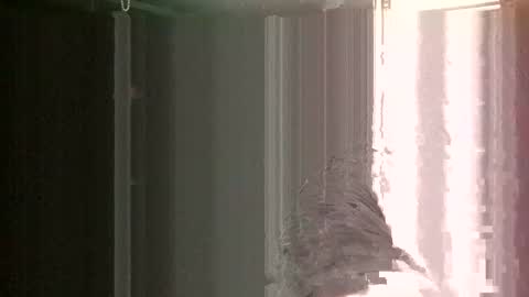 Snapshot of knock2wice1975 chatting on 01-26-25, 12:33 knock2wice1975 online show from 01-26-25, 12:33