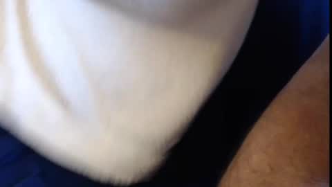 Snapshot of konradboy chatting on 03-06-25, 09:25 Konrad online show from 03-06-25, 09:25