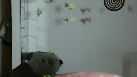 Karoll online show from 01-13-26, 01:11