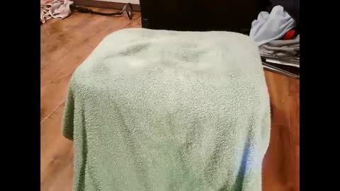 kotek400 online show from 01-30-25, 08:10