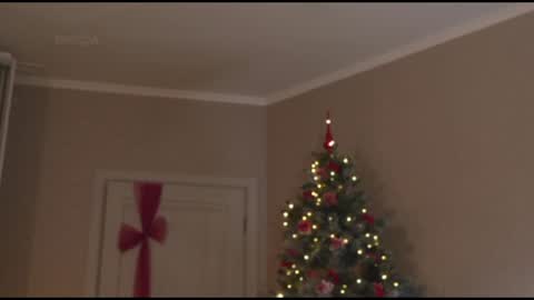 Snapshot of kottyaa_ch chatting on 01-30-25, 10:19 Kottyaa cb FOLLOWING online show from 01-30-25, 10:19