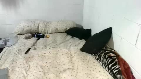 Snapshot of koty1169 chatting on 01-13-26, 10:04 Katybaby online show from 01-13-26, 10:04