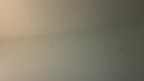 Snapshot of kovapoika chatting on 10-23-25, 10:58 kovapoika online show from 10-23-25, 10:58