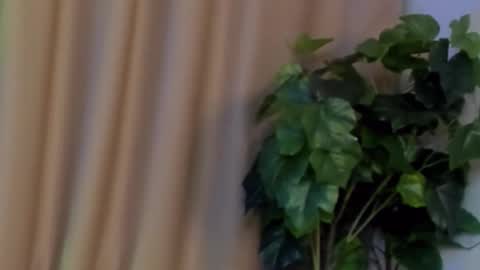 Snapshot of kristinedean chatting on 12-07-24, 09:50 Kristi online show from 12-07-24, 09:50