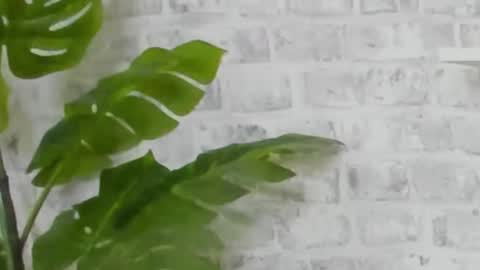 Snapshot of kristinedean chatting on 12-15-24, 09:45 Kristi online show from 12-15-24, 09:45