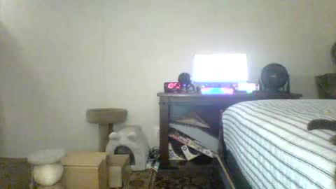 krystalizedkitsune online show from 07-15-26, 03:56
