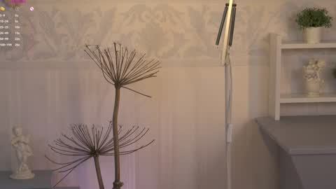 Snapshot of kseha_cute chatting on 02-06-25, 03:48 Ksesha online show from 02-06-25, 03:48