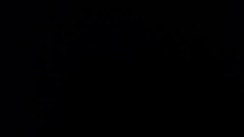 kvicali online show from 12-19-24, 11:14