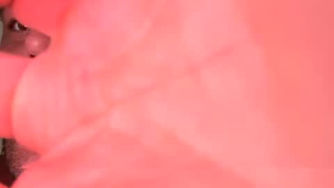 Hotbody545 online show from 11-02-25, 02:19