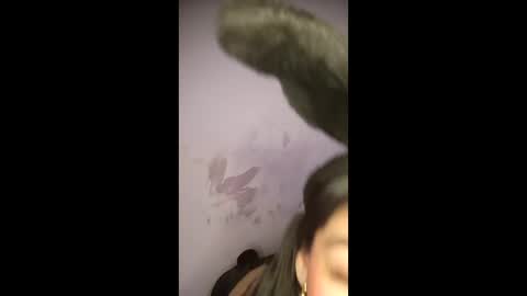 labonitabrazil online show from 02-10-26, 07:51