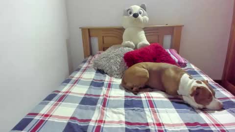 Snapshot of ladahear_ chatting on 10-21-25, 11:55 Akyra online show from 10-21-25, 11:55