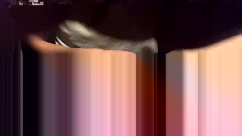 lalo112233vaz online show from 11-16-25, 09:04