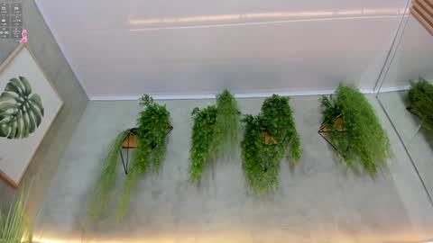 lana_lann online show from 01-09-25, 03:34