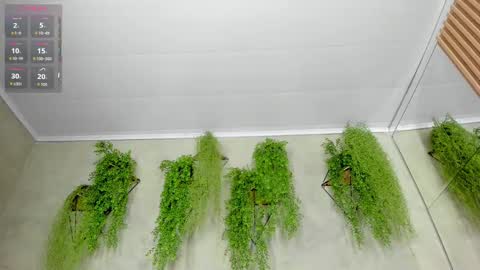 lana_lann online show from 09-28-25, 11:48